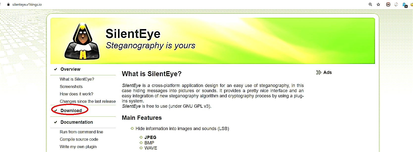 SilentEye 1